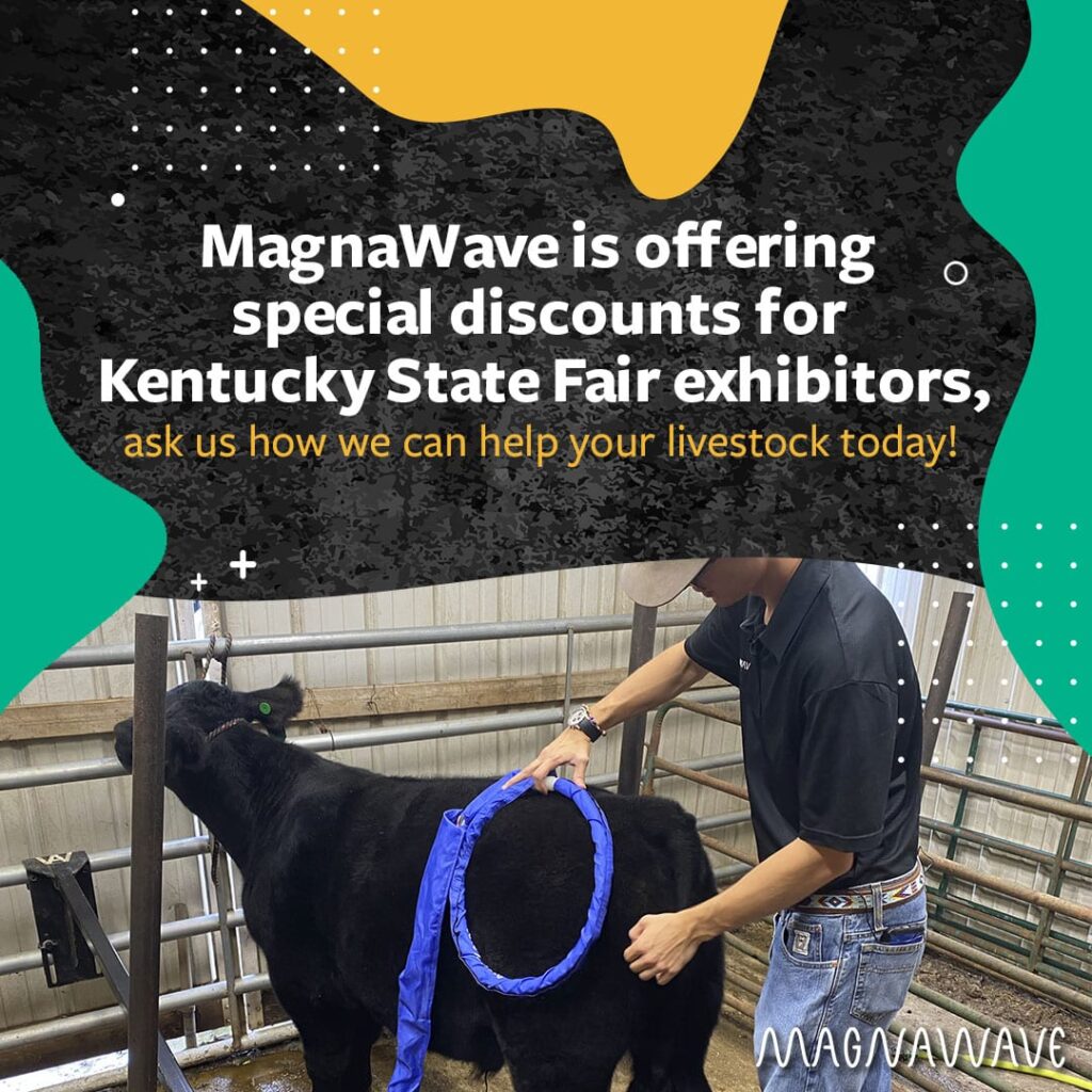 MagnaWave Deals for the Kentucky State Fair 2020