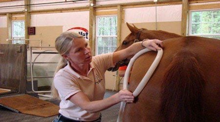 horse therapy