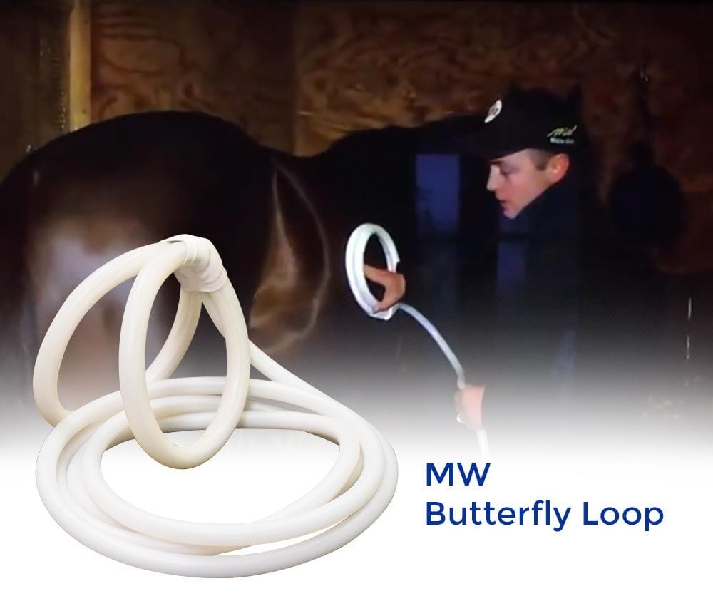 MW Butterfly Loop