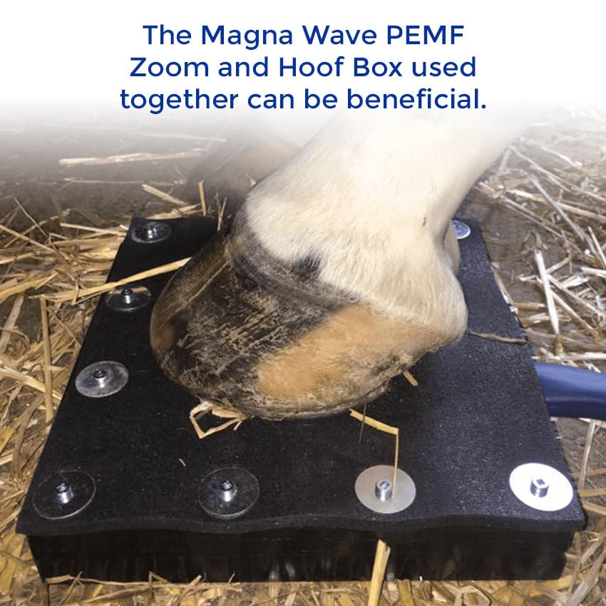 Magnawave PEMF Zoom and Hoof Box
