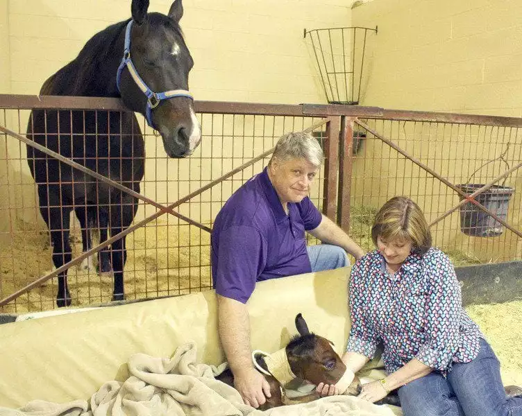 Filly born 62 days premature defying odds