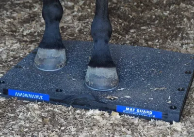 Equine Hoof Health: Evaluating the Effect of PEMF on Sole Depth