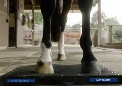 How MagnaWave PEMF Supports Horses with Navicular Disease