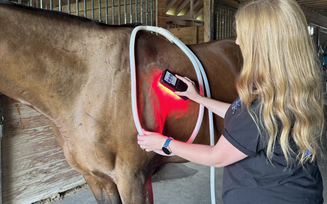 Stacking Modalities: PEMF and Red Light Therapy