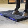 Hoof Plate Bundle - Image 3