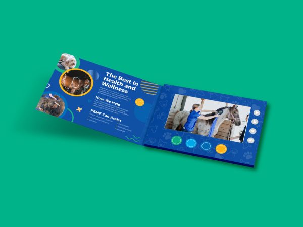 MagnaWave Video Book