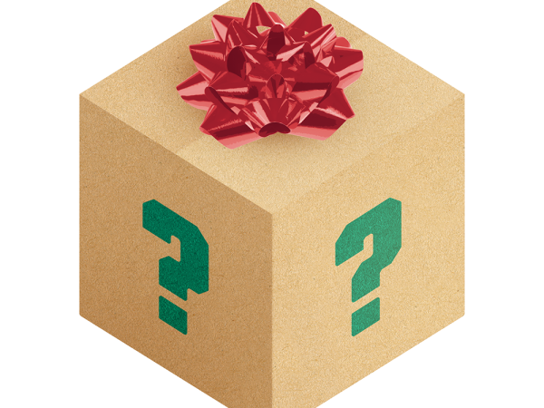 Mystery Bundle: Large